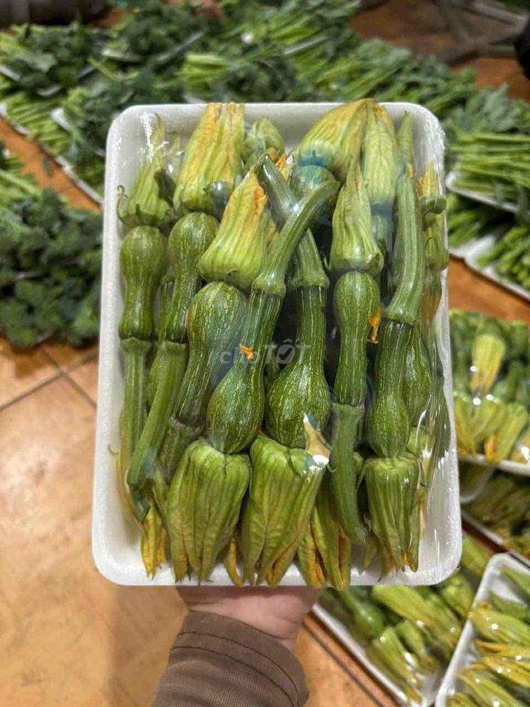 Bí nụ xanh vàng 1kg. Mua bán Đồ ăn, thực phẩm và các loại khác tại Huyện Hóc Môn Tp Hồ Chí Minh được đăng bởi Hôm Nay Ăn Gì hình 1
