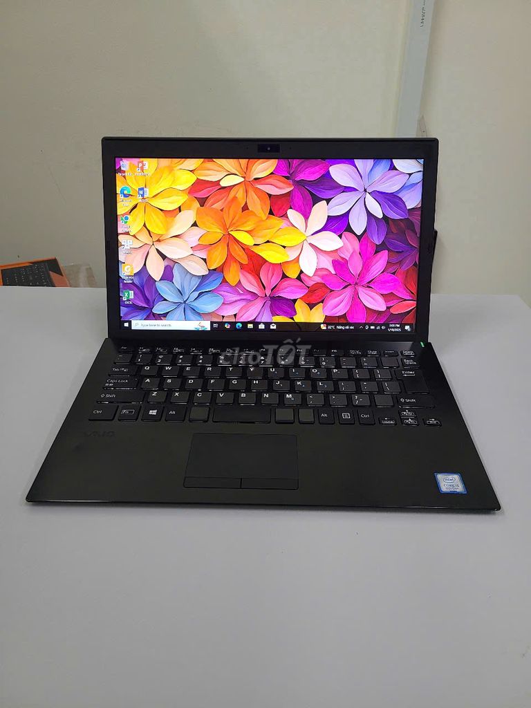 Vaio VJPG11C11N, I5-8250/RAM 8GB/SSD 256, FHD, 99%