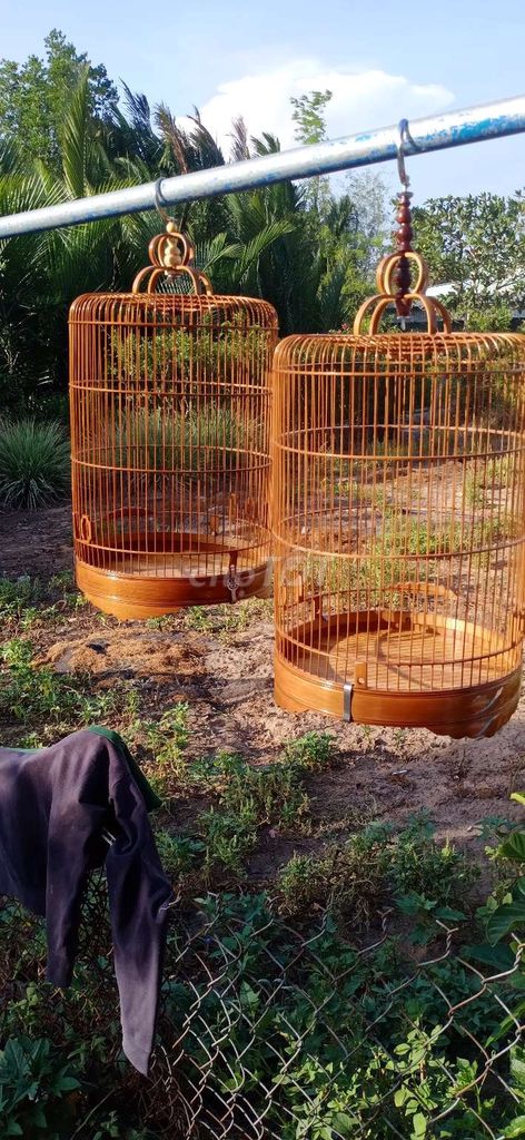 Lồng chim tre nuôi chim nhỏ Nâu. Mua bán Chim tại Huyện Nhà Bè Tp Hồ Chí Minh được đăng bởi Thông  hình 1
