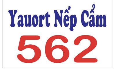 Yaourt 562