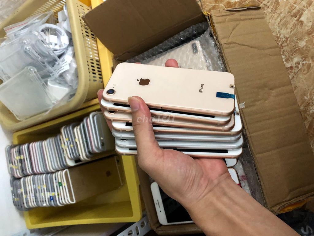 Apple iPhone 8 Plus Vàng hồng Đẹp keng. Mua bán Điện thoại tại Quận 10 Tp Hồ Chí Minh được đăng bởi Hội Đồ Điện Tử hình 1