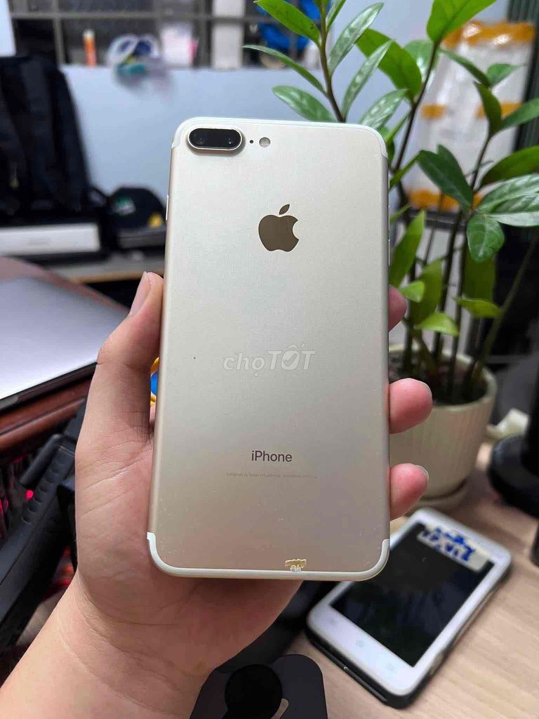 Apple iPhone 7 Plus 128GB Vàng. Mua bán Điện thoại tại Thành phố Thủ Đức Tp Hồ Chí Minh được đăng bởi Thịnh hình 1