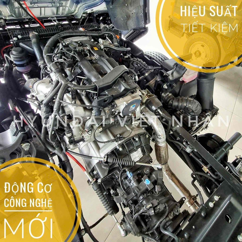 Ảnh số 7