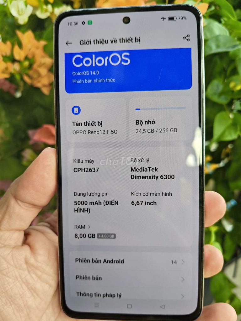 Oppo Reno12F 5G 256GB