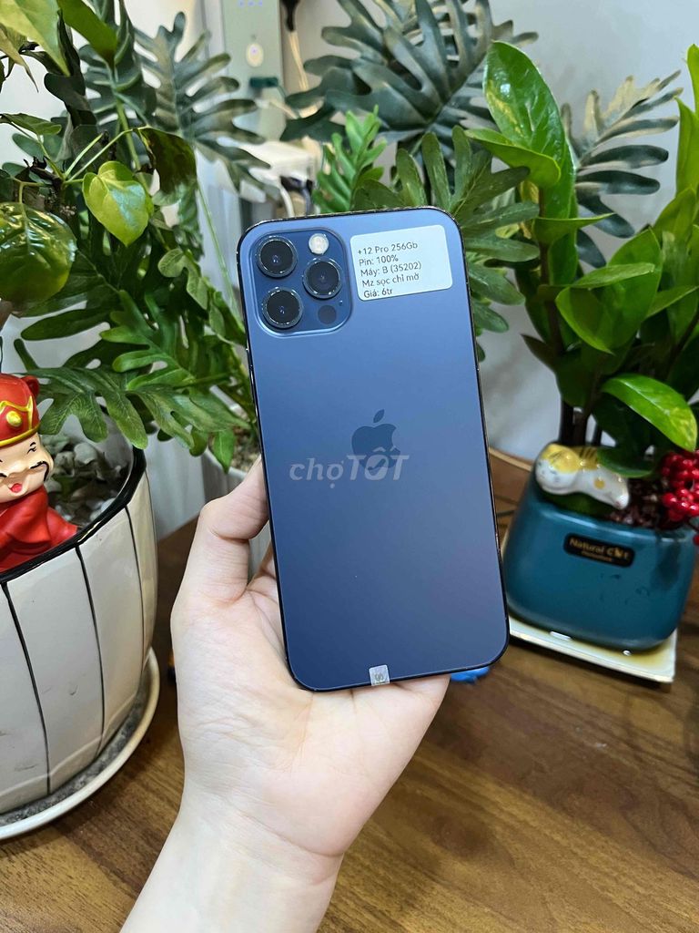 Apple iPhone 12Pro 256GB màn sọc chỉ. Mua bán Điện thoại tại Huyện Hóc Môn Tp Hồ Chí Minh được đăng bởi SIRI STORE HCM hình 1