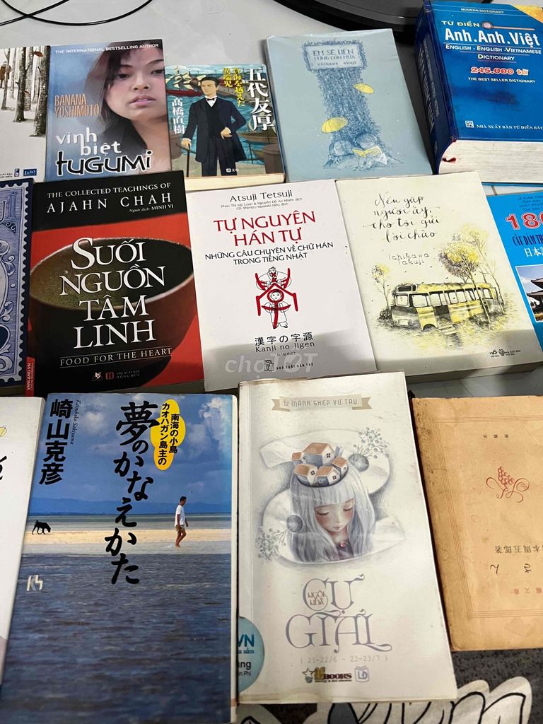 Sách tiếng Anh , Nhật sách triết lý