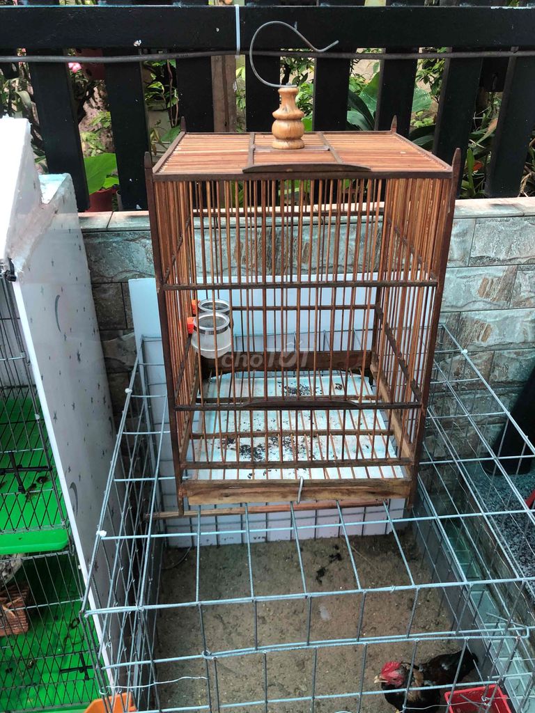 Lồng chim Gỗ, Kim loại. Mua bán Phụ kiện, Thức ăn, Dịch vụ tại Huyện Nhà Bè Tp Hồ Chí Minh được đăng bởi LÊ VĂN GIÀU hình 1
