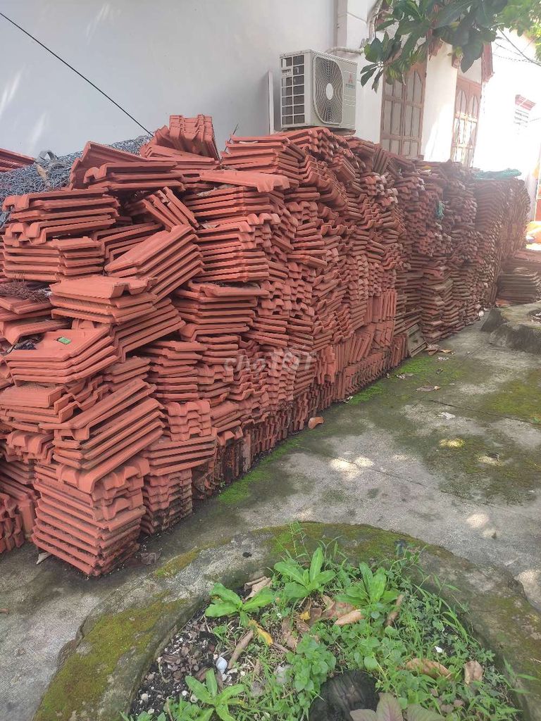 Ngói lợp Viglacera Đông Triều Đỏ gạch. Mua bán Nội thất, đồ gia dụng khác tại Thành phố Đồng Xoài Bình Phước được đăng bởi Khôi hình 1