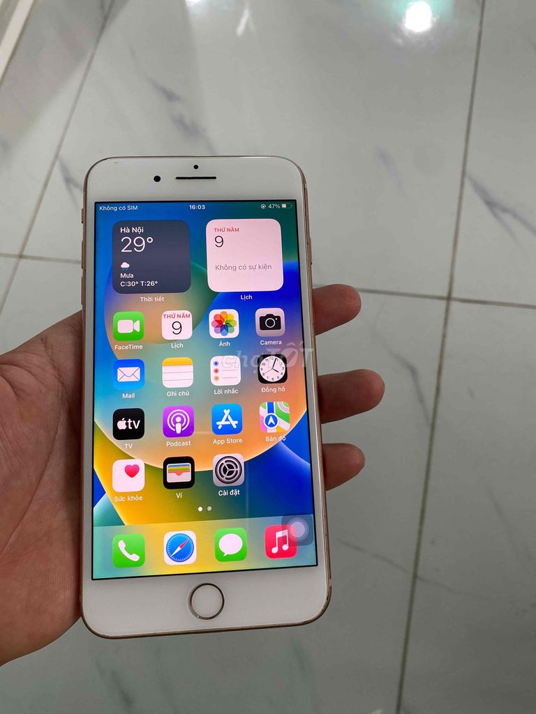 iPhone 8 Plus 64gb Vàng hồng 100%. Mua bán Điện thoại tại Thị xã Tân Uyên Bình Dương được đăng bởi điện thoại cũ Tân Uyên  hình 1