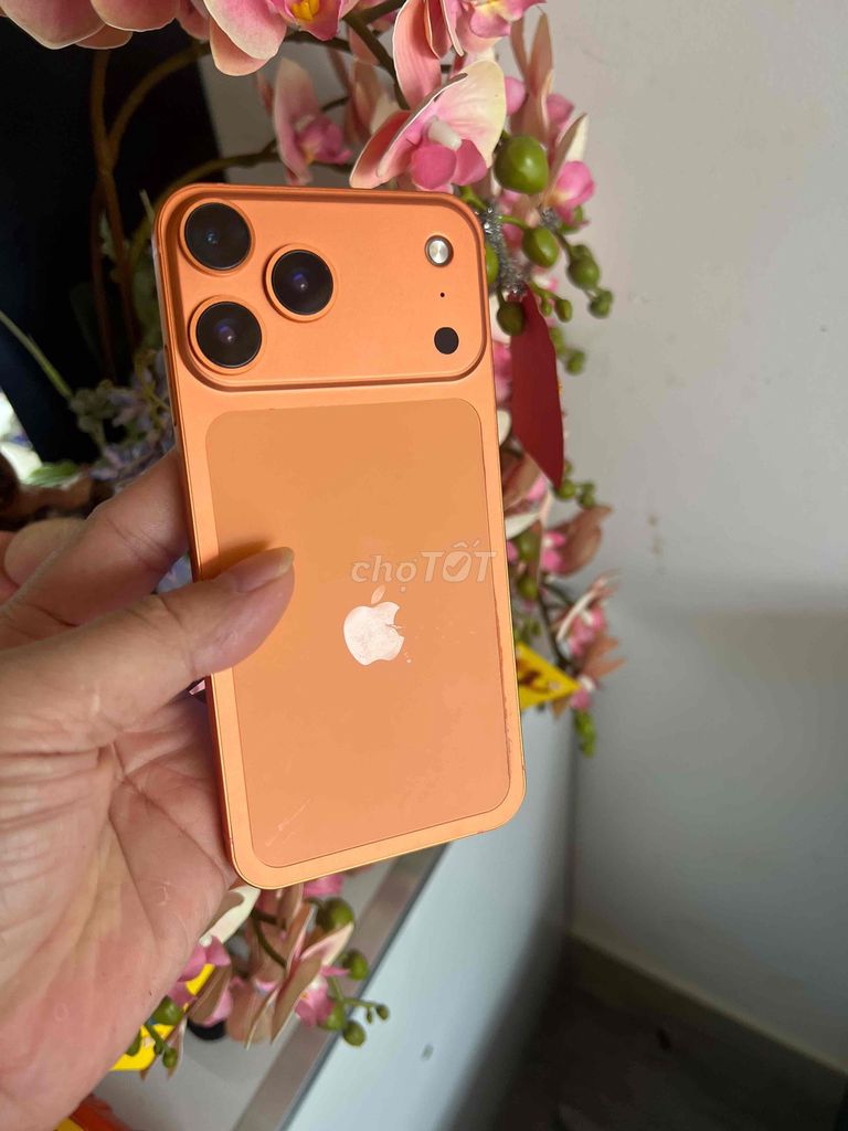 Apple iPhone XS Max 64GB Cam quốc tế. Mua bán Điện thoại tại Thành phố Buôn Ma Thuột Đắk Lắk được đăng bởi Tèo Điện Thoại  hình 1