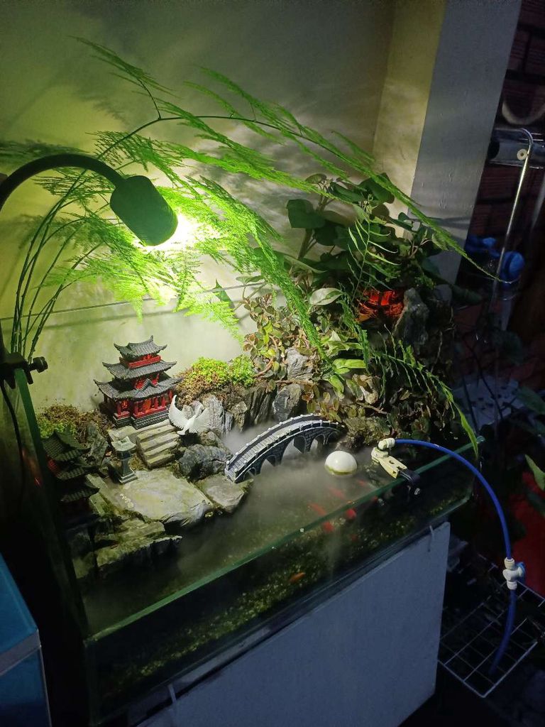 Bể cá cảnh Kính có bơm thác nước đèn khói. Mua bán Cây cảnh, đồ trang trí tại Huyện Hóc Môn Tp Hồ Chí Minh được đăng bởi Lạc Trôi hình 1