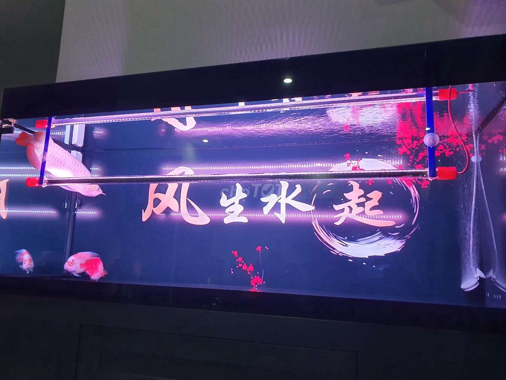 Đèn bể cá Xuanmeilong 1m5 đỏ. Mua bán Phụ kiện, Thức ăn, Dịch vụ tại Thành phố Biên Hòa Đồng Nai được đăng bởi Nhân hình 1