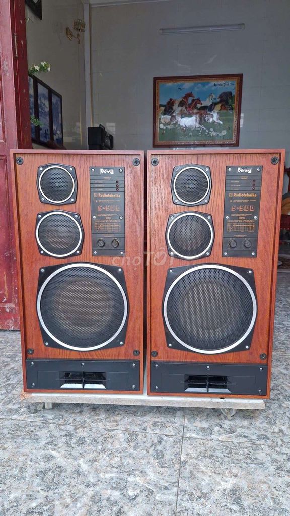 Loa Radiotehnika S90D Nâu. Mua bán Tivi, Âm thanh tại Quận Hà Đông Hà Nội được đăng bởi thất tình  hình 1