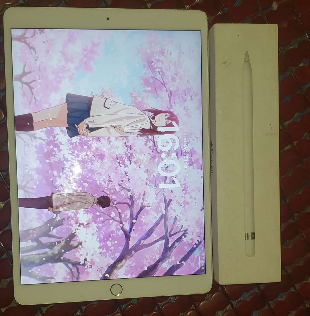 Ipad Pro 10.5