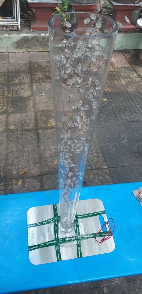 Ly uống bia thủy tinh 80cm. Mua bán Dụng cụ nhà bếp tại Quận Bình Thuỷ Cần Thơ được đăng bởi Ngọc Tiến  hình 1