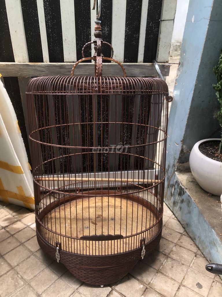Lồng chim tre 52cm Nâu cũ. Mua bán Phụ kiện, Thức ăn, Dịch vụ tại Quận Phú Nhuận Tp Hồ Chí Minh được đăng bởi Cậu Ba hình 1