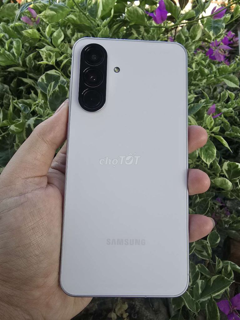 Samsung A56 5G 256GB Hồng. Mua bán Điện thoại tại Quận Thốt Nốt Cần Thơ được đăng bởi Đạt hình 1