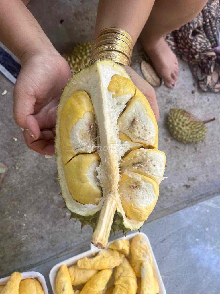 Sầu riêng Ri6. Mua bán Đồ ăn, thực phẩm và các loại khác tại Thành phố Thủ Đức Tp Hồ Chí Minh được đăng bởi Linh Lê hình 1