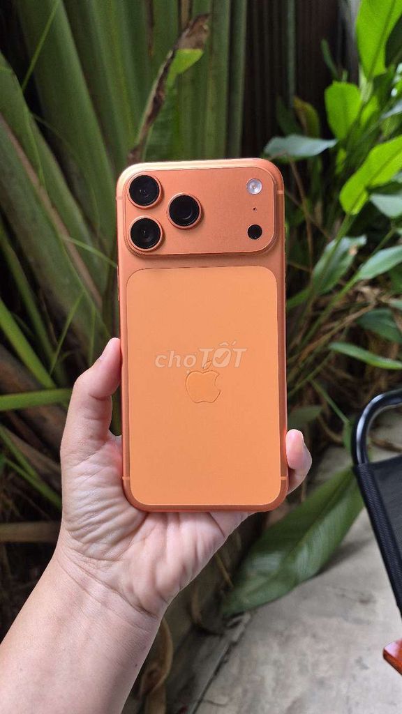 Apple iPhone 17 Pro Max Cam 99%. Mua bán Điện thoại tại Quận Phú Nhuận Tp Hồ Chí Minh được đăng bởi phương hình 1