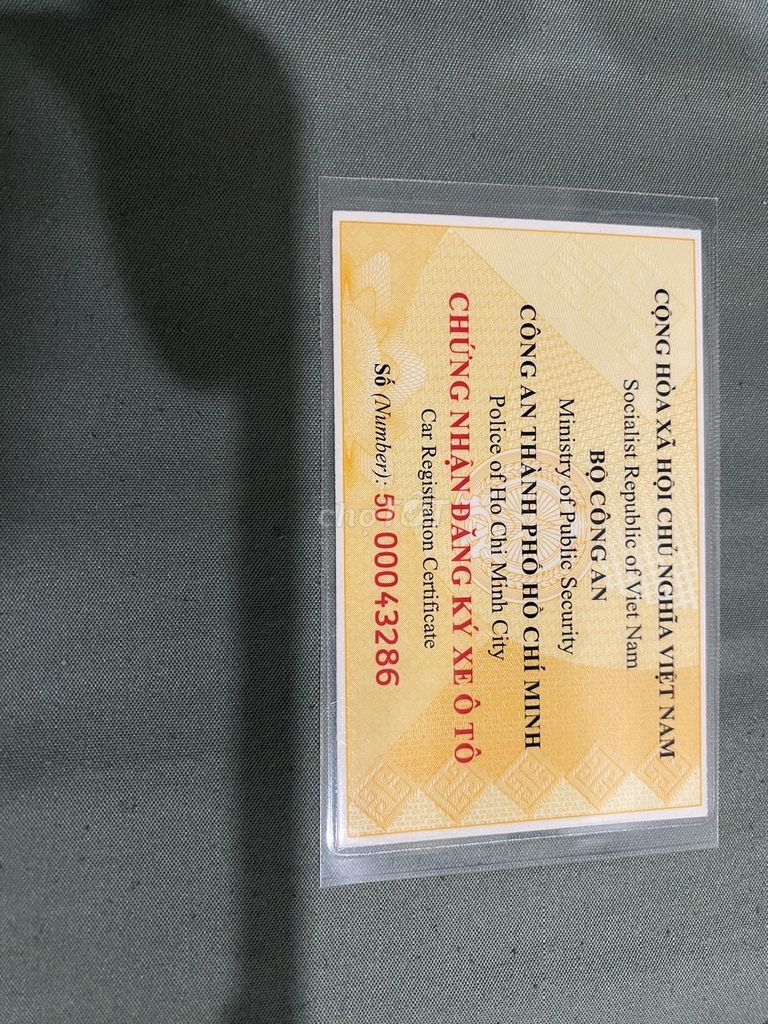 Ảnh số 7