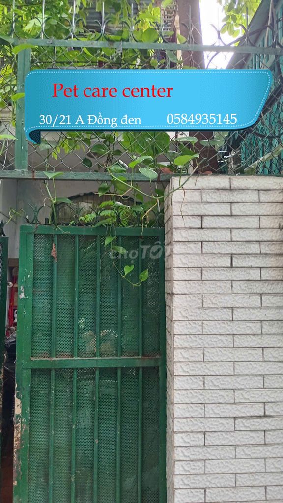 Bọ ú cali petkiengzizi tại Quận Tân Bình, Tp Hồ Chí Minh hình 1