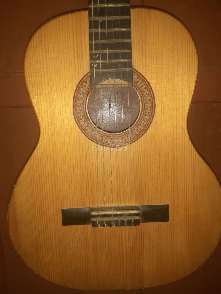 Đàn guitar gỗ thịt