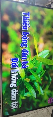 Tivi internet coocaa 50 khiển nói. Mua bán Tivi, Âm thanh tại Quận 7 Tp Hồ Chí Minh được đăng bởi Hoa binh Dientu