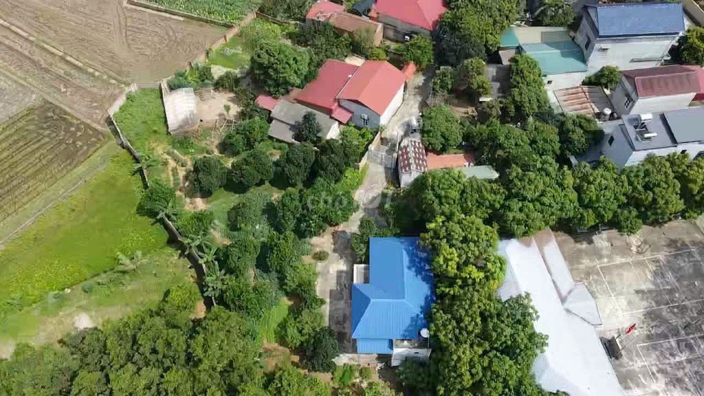 Cho thuê nhà vườn 1500m2 tại Phú Hữu xã Minh Phú - Sóc Sơn