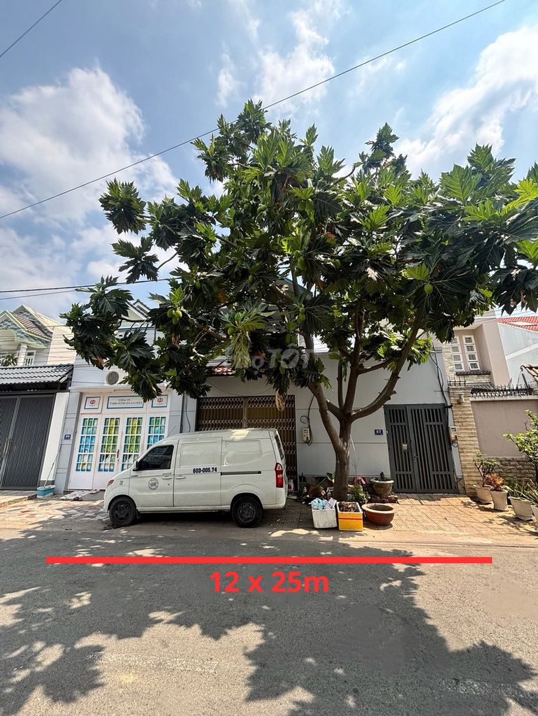 Chính Chủ Bán Đất 12x 25m tại Tân Phong- Giá 8.2 tỷ