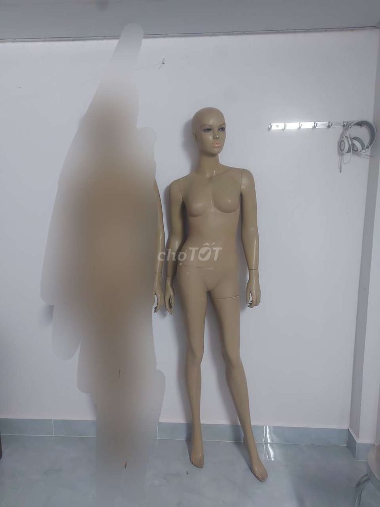 manacanh, manơcanh, ma nơ canh, ma-nơ-canh. Mua bán Đồ chuyên dụng, Giống nuôi trồng tại Quận 7 Tp Hồ Chí Minh được đăng bởi Thanhhuu hình 1