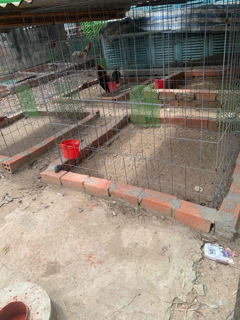 Chuồng gà Lưới thép, gạch 6 chuồng 1m 1tr200. Mua bán Phụ kiện, Thức ăn, Dịch vụ tại Quận Thốt Nốt Cần Thơ được đăng bởi gà tuyển thốt nốt hình 1