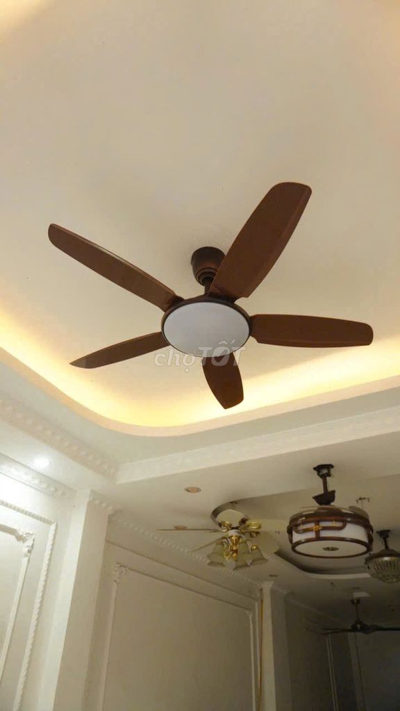 Quạt trần đèn 5 cánh DC đảo chiều. Mua bán Quạt tại Quận Hà Đông Hà Nội được đăng bởi TT Led hình 1