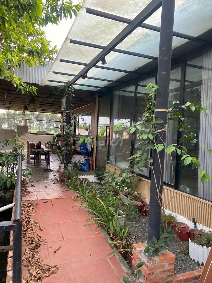 ? Nhà vườn 1000m² Bình Mỹ – Sẵn ở ngay ? vo, Xã Bình Mỹ, Huyện Củ Chi, Tp Hồ Chí Minh Huyện Củ Chi Tp Hồ Chí Minh