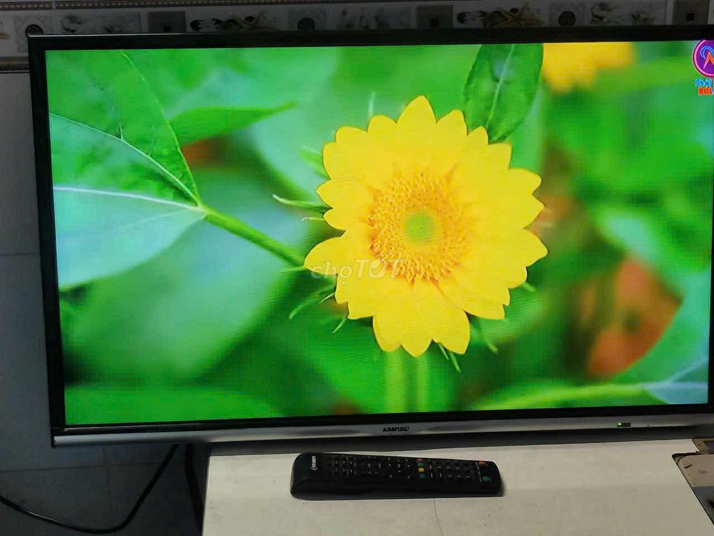 tivi led  Asanzo32in hình ảnh sáng đẹp có dvb t2. Mua bán Tivi, Âm thanh tại Huyện Bình Chánh Tp Hồ Chí Minh được đăng bởi bán mau lẹ hình 1