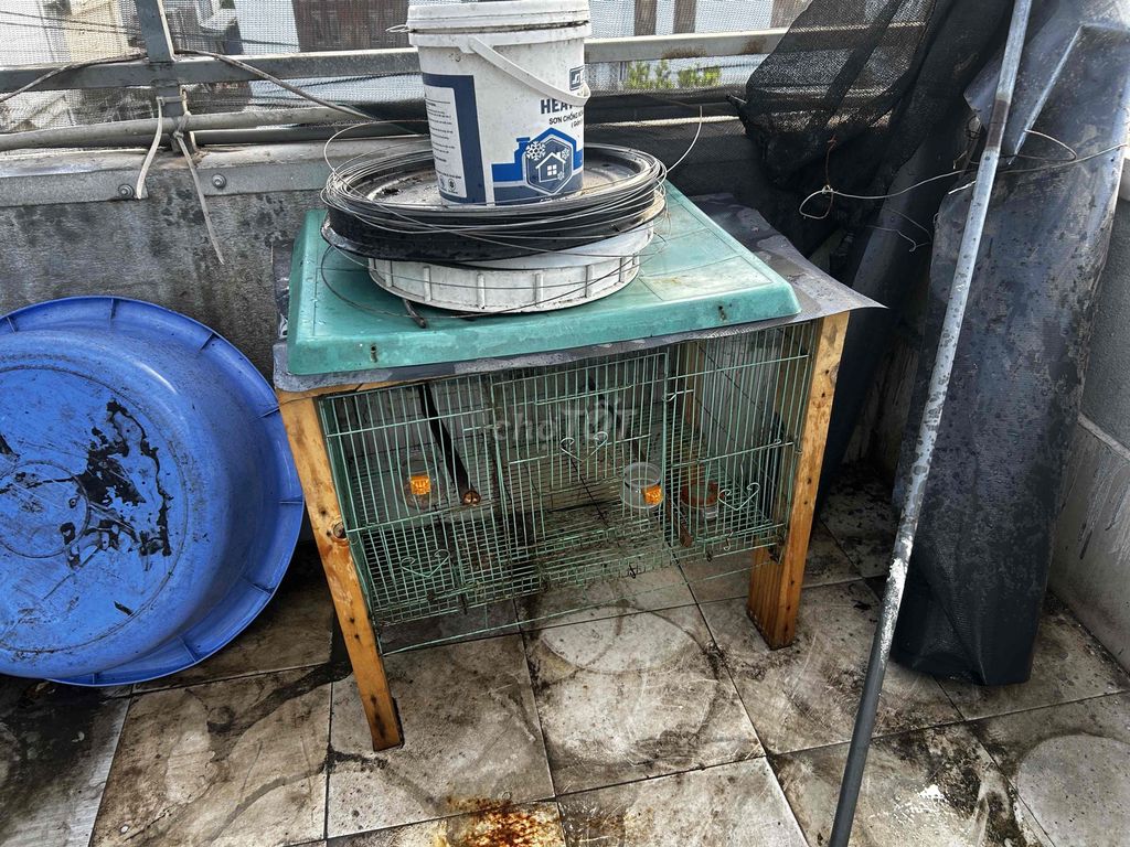 Lồng chim Gỗ thông Kim loại Xanh Nâu đã sử dụng. Mua bán Phụ kiện, Thức ăn, Dịch vụ tại Quận Cẩm Lệ Đà Nẵng được đăng bởi nguyễn trường thông hình 1