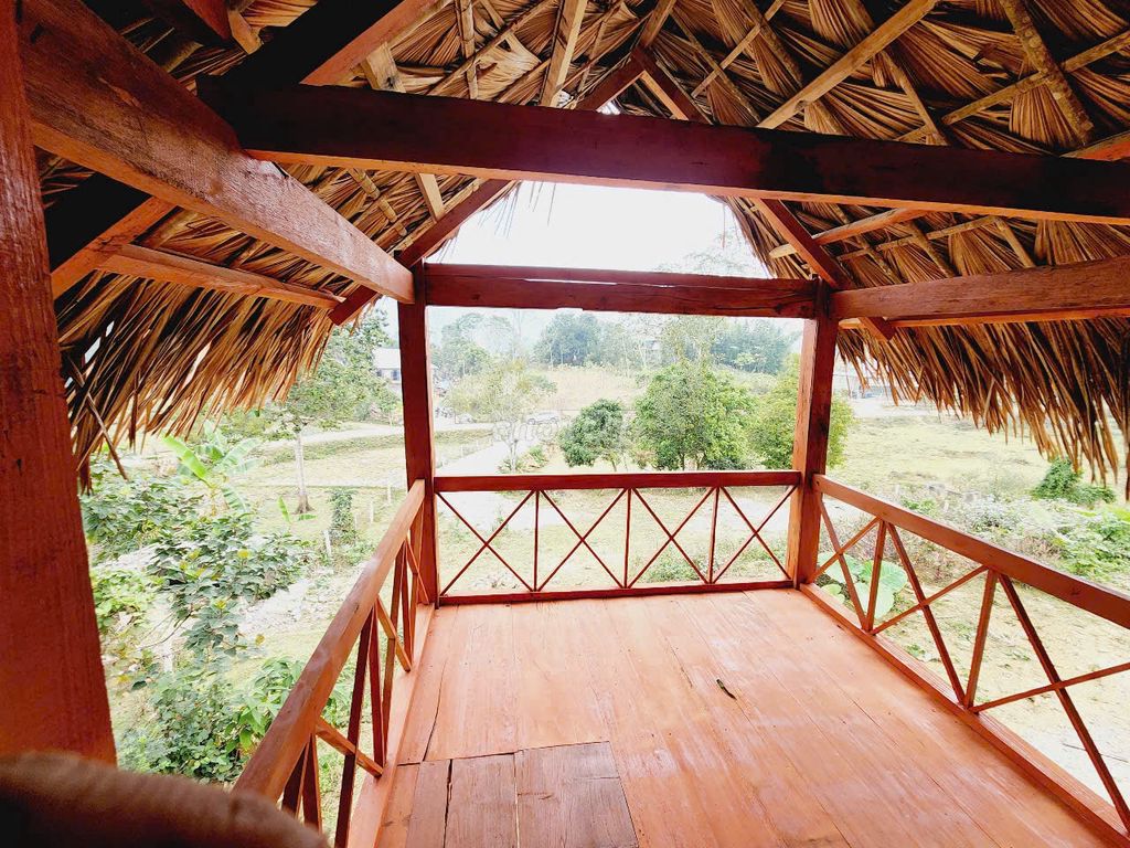 MUA ĐẤT TẶNG NHÀ SÀN GỖ QUÝ TẠI TÂN LẠC. Mua bán đất tại Huyện Tân Lạc Hòa Bình được đăng bởi Đoàn Thị Chinh hình 5
