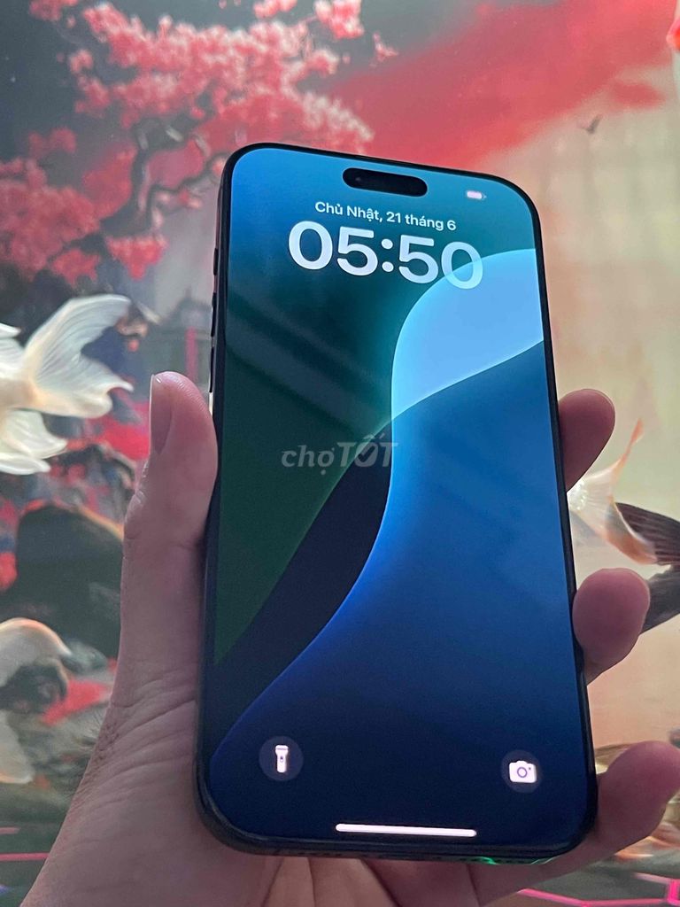Apple iPhone 16 Pro Max 256GB Đen 96%. Mua bán Điện thoại tại Quận Ninh Kiều Cần Thơ được đăng bởi Trường Bán ĐT Dạo hình 1