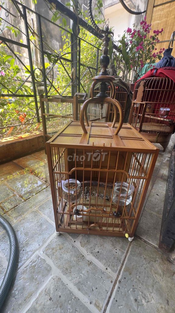 Lồng chim vuông gỗ Thượng Hải. Mua bán Phụ kiện, Thức ăn, Dịch vụ tại Thành phố Thủ Đức Tp Hồ Chí Minh được đăng bởi hoàng minh tâm hình 1