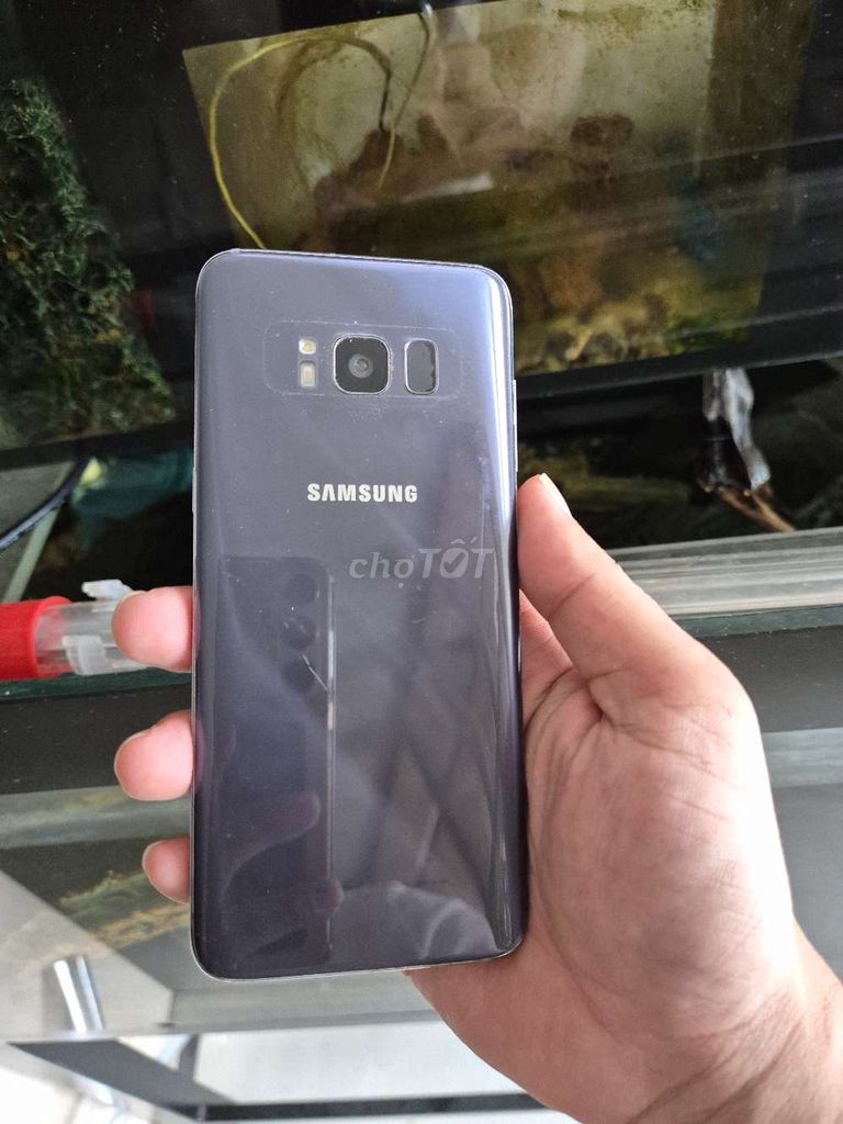 Samsung S8 64GB Đen Xước nhẹ, màn ám. Mua bán Điện thoại tại Quận 8 Tp Hồ Chí Minh được đăng bởi Phan Minh Tân hình 1