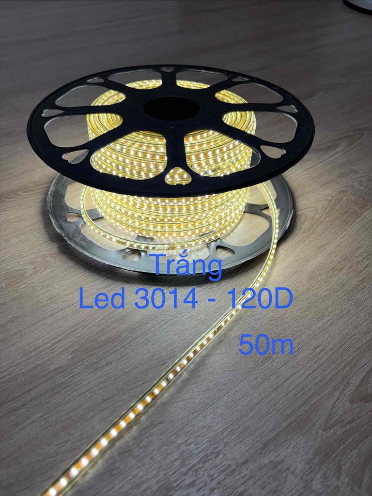 Đèn LED dây chống nước. Mua bán Đèn tại Quận 1 Tp Hồ Chí Minh được đăng bởi Toàn  hình 1