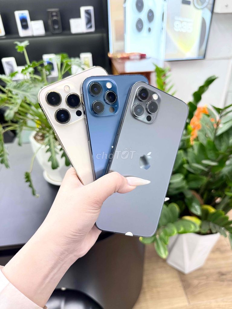 📲12promax 3cây thu khách zin đẹp bao nợ xấu hssv. Mua bán Điện thoại tại Quận Gò Vấp Tp Hồ Chí Minh được đăng bởi TÁO SÀI GÒN hình 1