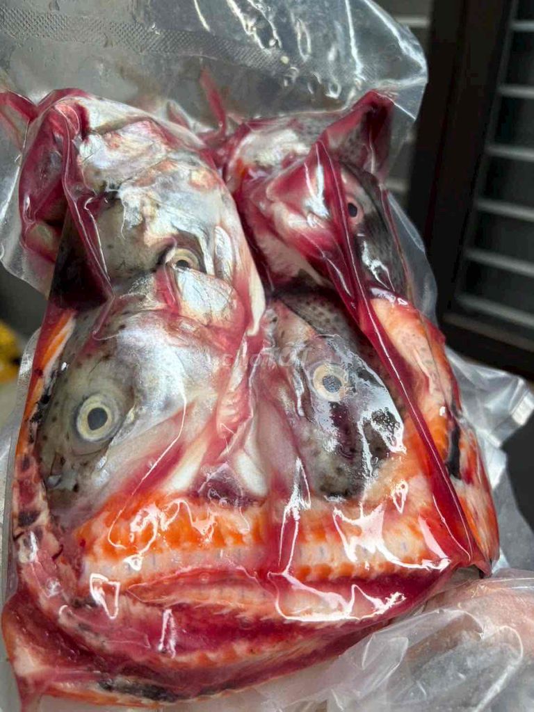 Cá hồi đầu và đuôi 1kg. Mua bán Đồ ăn, thực phẩm và các loại khác tại Quận Liên Chiểu Đà Nẵng được đăng bởi Món Ăn Mỗi Ngày hình 1