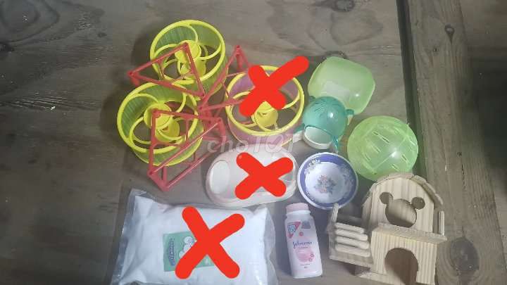Lồng Hamster Nhựa Kim Loại Trắng Xanh Lá. Mua bán Phụ kiện, Thức ăn, Dịch vụ tại Quận Hải Châu Đà Nẵng được đăng bởi Binn hình 1