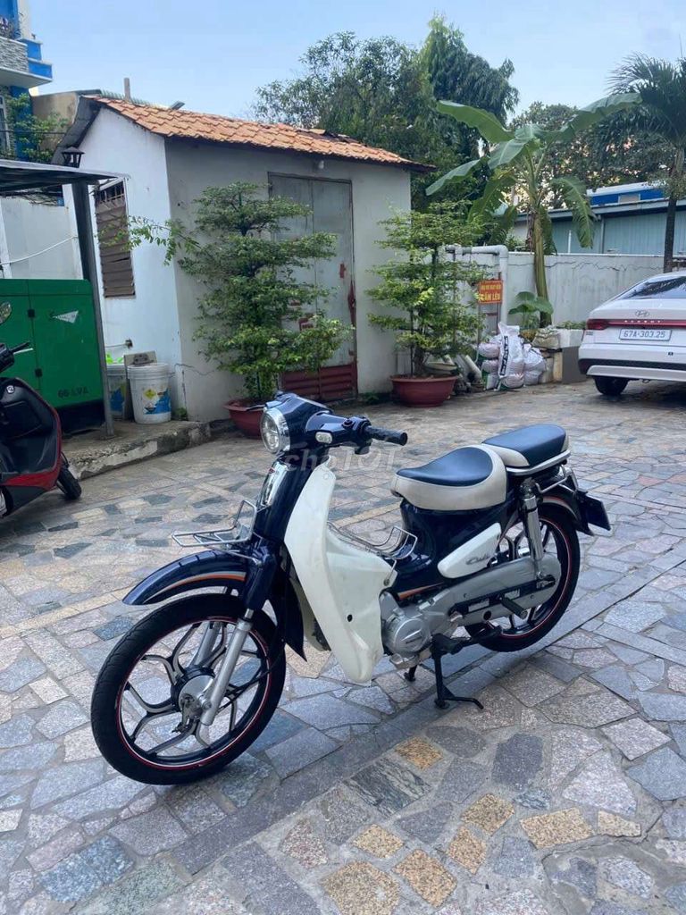 Xe cúp 50cc Hàn Quốc