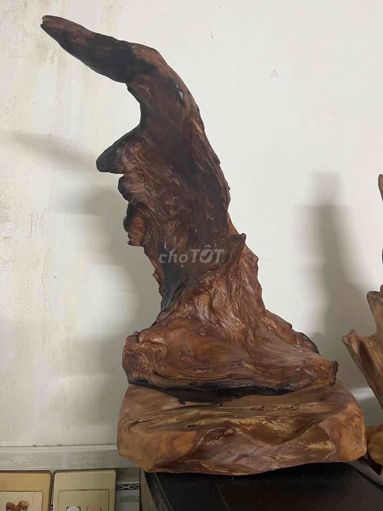 Lũa gỗ trưng bày phòng khách thơm tự nhiên