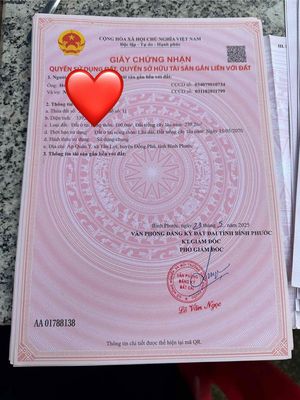 Bán sỉ 71 lô tại Đường Xuyên Tâm KCN 4200ha Đồng Phú-Bình Phước. Mua bán đất tại Huyện Đồng Phú Bình Phước được đăng bởi Nguyễn Thiện Lưu