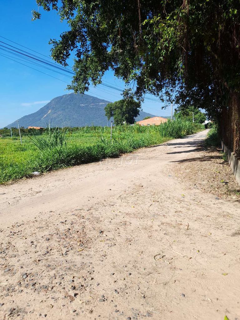 BÁN ĐẤT 5x60, 70m2 thổ cư, gần trường học, Suối Đá, DMC, Tây Ninh
