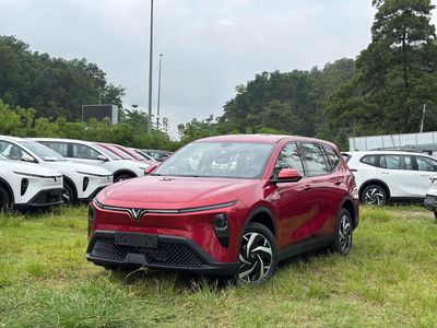 Xe điện VinFast Limo Green Đỏ