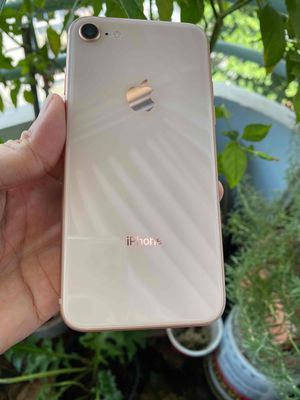 Iphone 8 64g gold like new