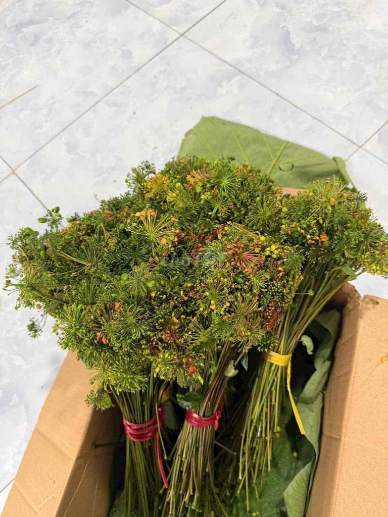 hoa s.âm. Mua bán Đồ ăn, thực phẩm và các loại khác tại Quận Hoàng Mai Hà Nội được đăng bởi Sen Vàng hình 1